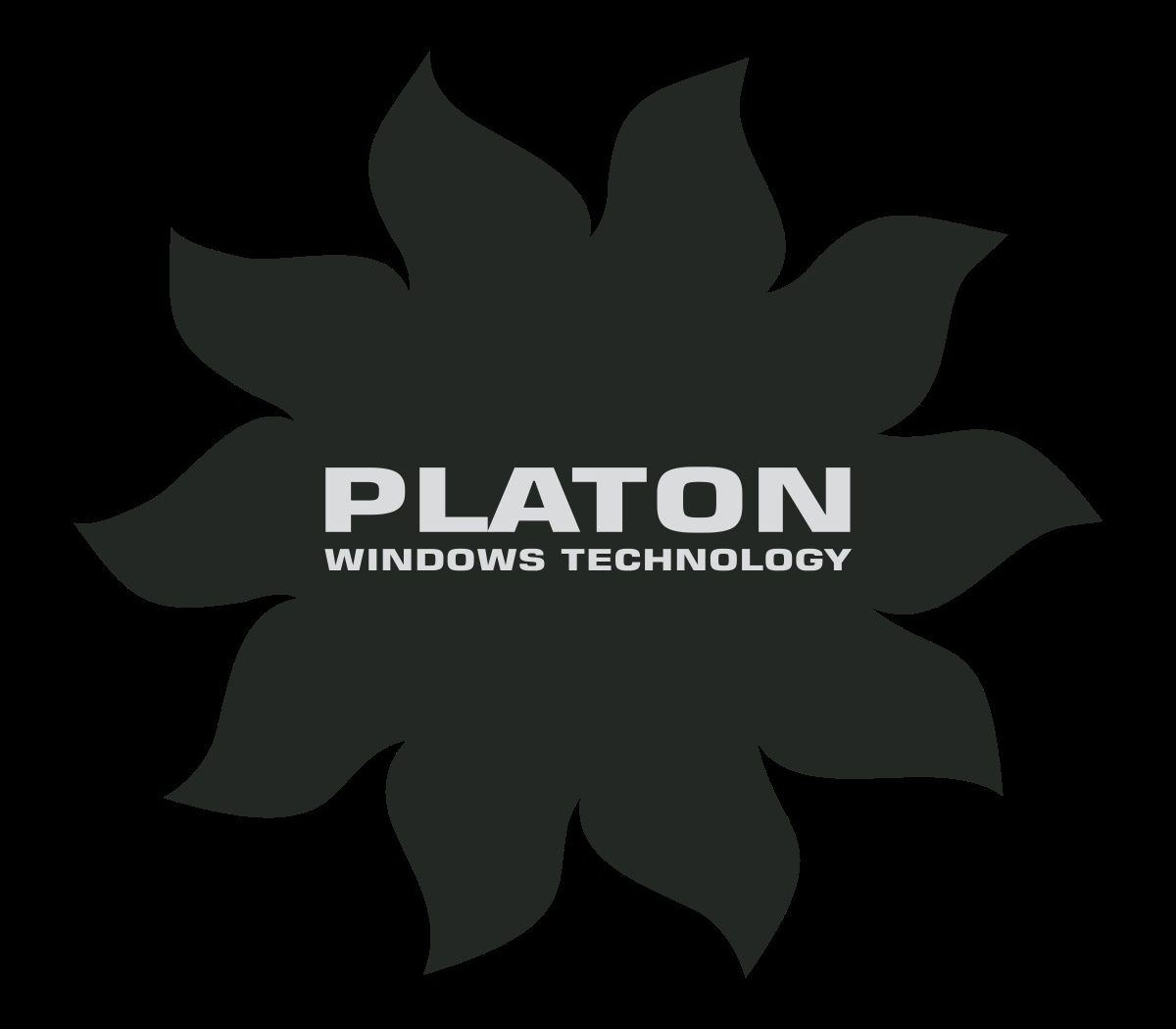 Platon надпись. Logo надпись Platon. Логотип Платон Минимализм.